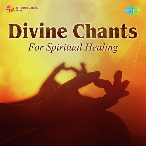 Hey Ram - Instrumental by Ustad Zakir Hussain - Download on PagalFree