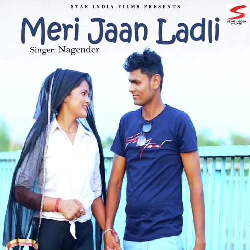 Meri Jaan Ladli by Nagender - Download on PagalFree