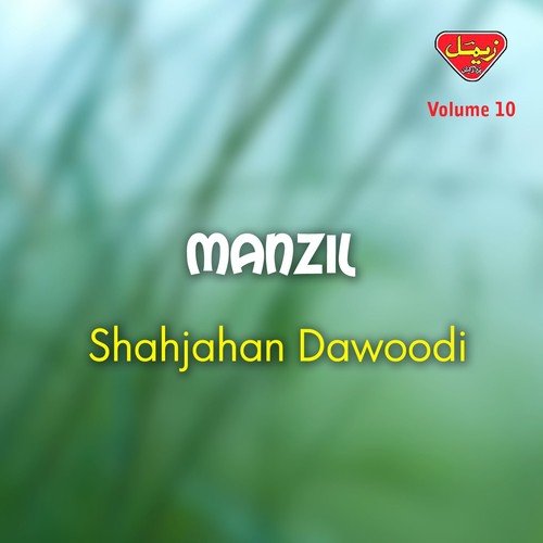 Dil Kap O Jiggar by Shahjahan Dawoodi - Download on PagalFree