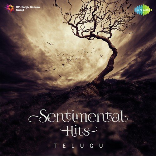 Sudha Raaga Sudha (From Muthaiduva) by Various Artists - Download on PagalFree